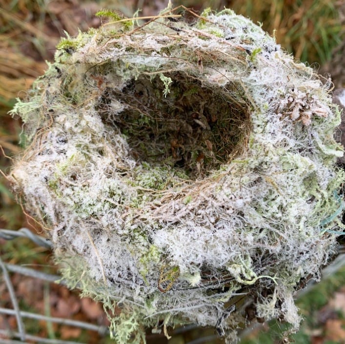 Small Developments: Nesting bird checks